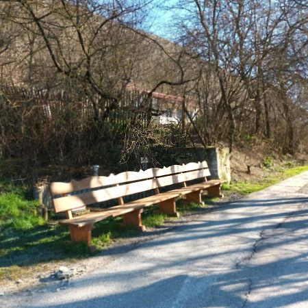 Ferienwohnung Naumburgliebe Νάουμπουργκ Εξωτερικό φωτογραφία