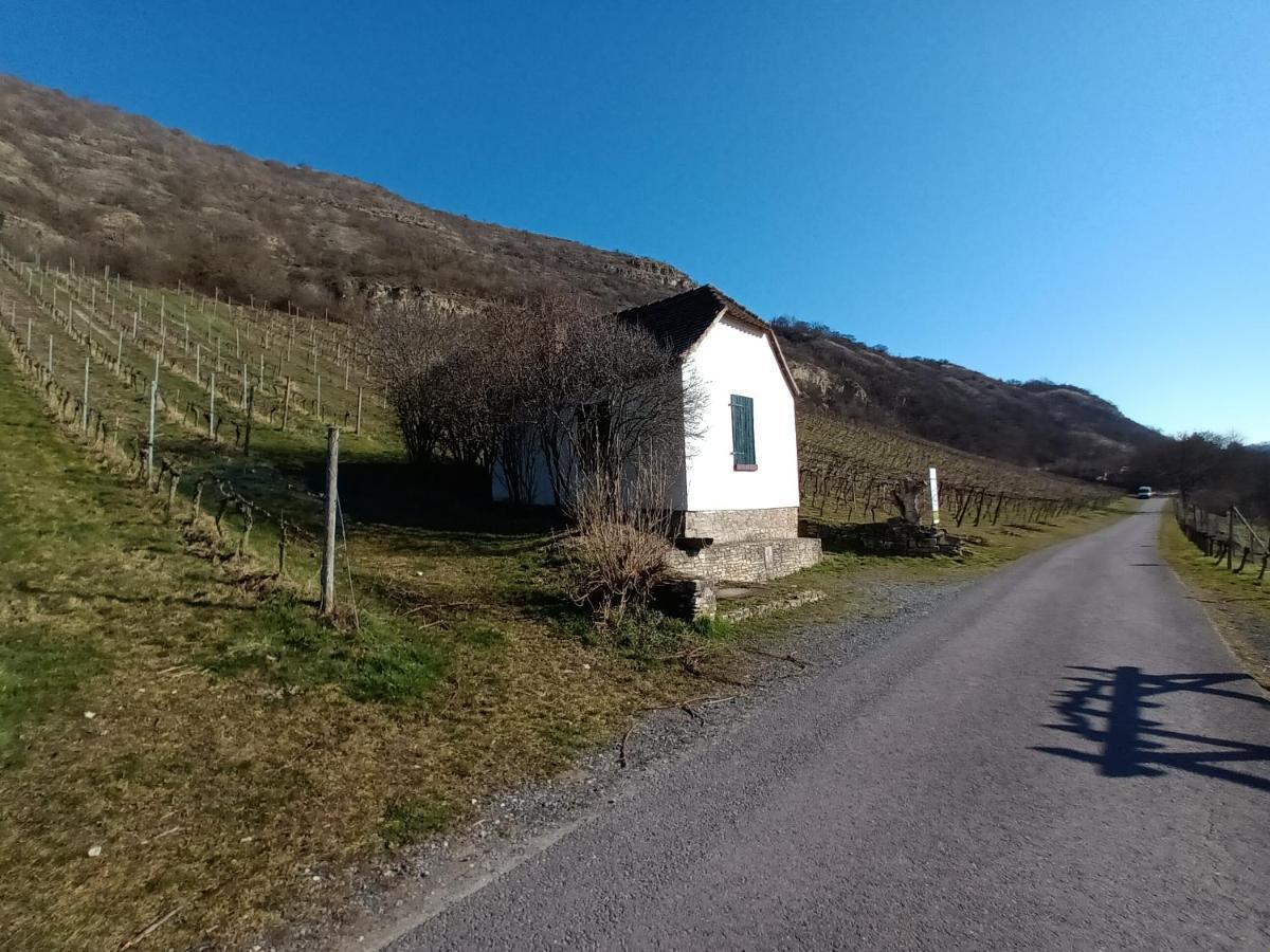 Ferienwohnung Naumburgliebe Νάουμπουργκ Εξωτερικό φωτογραφία